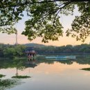 브라운도트 성당못점 이미지