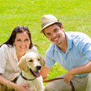 석촌동물병원 이미지