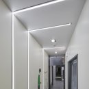 강릉동물병원 이미지