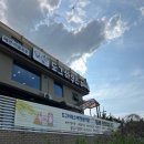 도그하우스 애견샵 이미지