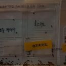 제라제이