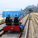 숲 바다 이미지