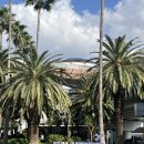 소로3-용두37호선 | [제주도맛집] 제주공항근처 고사리해장국 맛집 - 용두네해장국 솔직후기