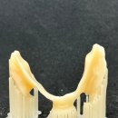 하이교정치과기공소 이미지