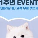 르네펫살롱 이미지