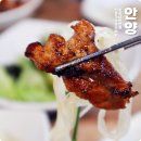 갈비가두근두근플러스 이미지