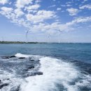 농식품 스마트 물류 혁신 이미지