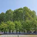 탄금공원 이미지