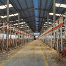 대화한우농장 이미지