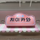 인형요기요 | 용산 아이파크몰 치이카와샵 방문 후기