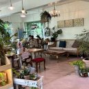 앤의정원 이미지