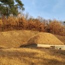 유복립 묘 Daum카페