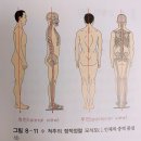 가좌연세정형외과의원 이미지