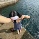 스테이버디 이미지