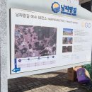 여천동 주민센터 앞 | 남파랑길 제52코스53코스일부 율촌파출소~소라초등학교~여천동주민센터(2025년11월16일)