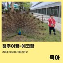 진천유치원 | 진천에코팜-진천아이랑 먹이주기체험 (알아두면좋을팁)