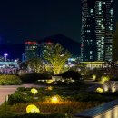 음악이 함께하는 밤 이미지