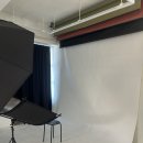 사림동144 | 창원 사진관 :) 유려한 스튜디오 반려동물 사진