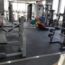 바디짐휘트니스 이미지