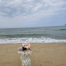 보랏빛꿈작은도서관 | 아기랑 향초목원 리틀포레스트 후기, 자연과 함께하는 느린 삶을 꿈꾼다면 (7월 여름 여행)