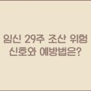 조산 이미지