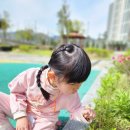 단설유치원 특수학급, 한 학기를 다녀보며 – 우리 아이의 변화 기록