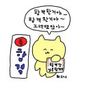 한양인쇄문구 | 2024 편입 시험 후기 1탄 📝 (단국대, 국민대, 경희대, 가천대, 경기대)