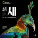 지음포토