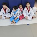 더뉴 태권도장 이미지