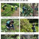 서울특별시중부공원여가센터 티스토리