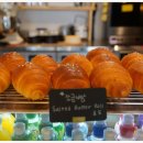 오션스케치 이미지