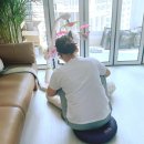 닥터맘 산후도우미 이미지