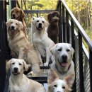 푼타하우스 이미지