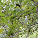 궁촌농장 이미지