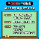 국가대표불무태권도 이미지