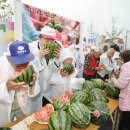 의령 토요애 수박축제 성황리 열려 (제가 신문에 나왔어요!!) 이미지