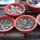 웅천시장 이미지