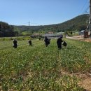 환경사업소