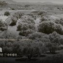 나라셀라갤러리아