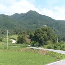 구암마을진입로 이미지