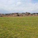 서귀포남원공인중개사사무소 이미지