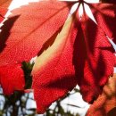 한마음자동차병원 이미지