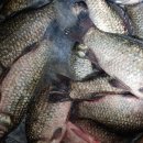 토종건강원 이미지