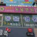 세브란스 동물병원 이미지