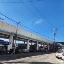 GS25 삼척장호항점 이미지