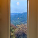 홍제원농장 | 경북 봉화 와인과 함께한 가을힐링 그 자체 홍제원펜션