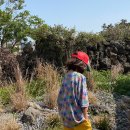 27200-다-11 이미지