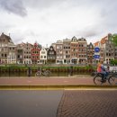 이지 태양광발전소 이미지