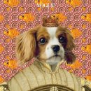 일상호사 이미지