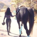 Q나인 이미지